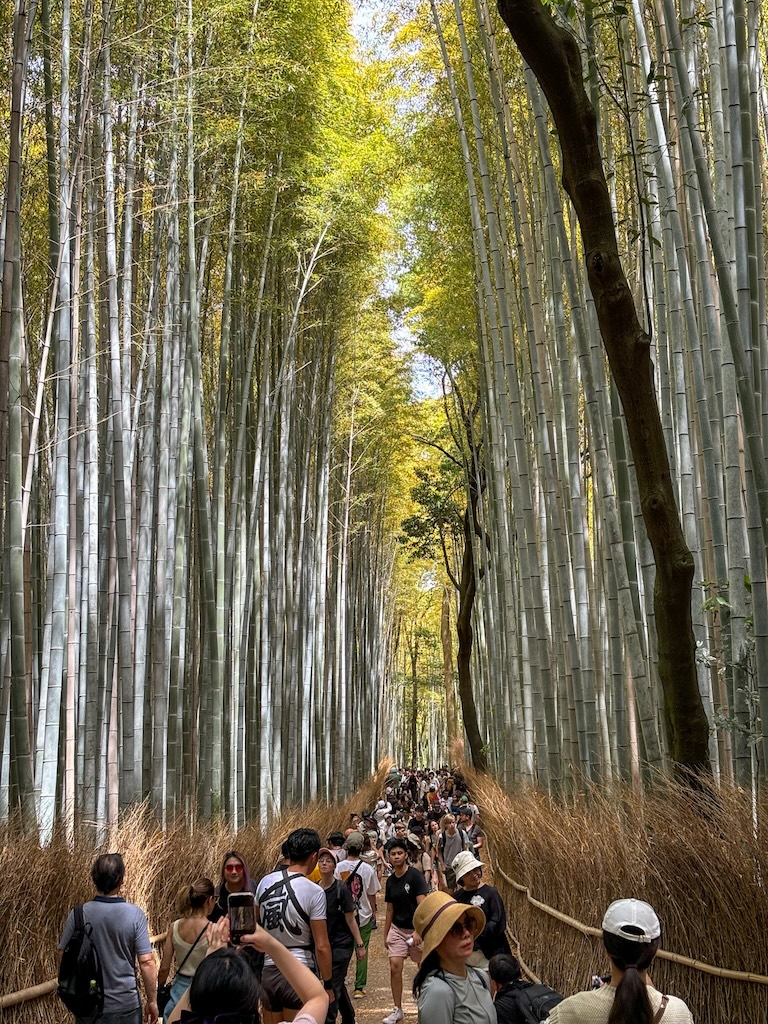 Bambusový les Arashiyama