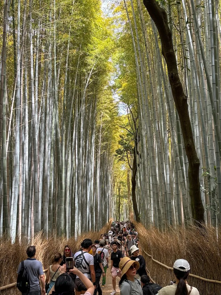 Bambusový les Arashiyama