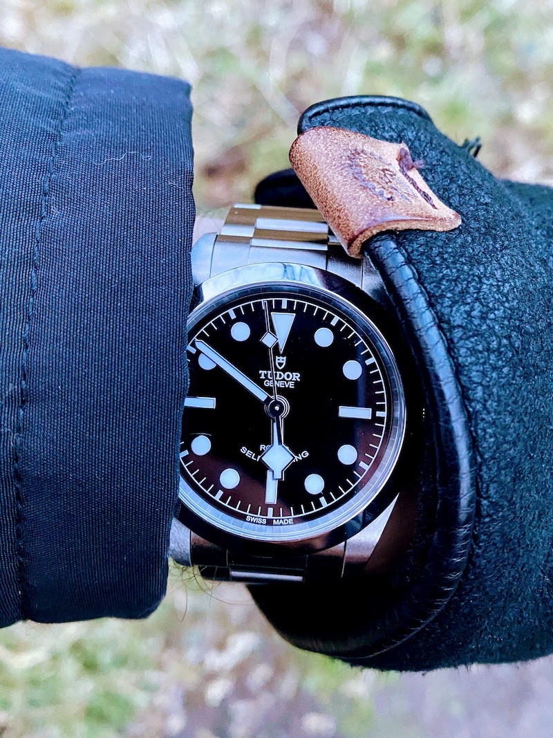 Tudor Black Bay 36 v slabšom svetle